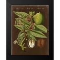 thumbnail image 2 of Vision Studio 19x24 Black Modern Framed Museum Art Print Titled - Walnut on Suede, 2 of 5