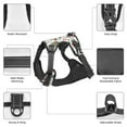 thumbnail image 4 of Dog Harness, Frog and Forest Plants No-Pull Pet Dog Harness with Leash Set for Large Medium Small Size Dog, Adjustable Reflective No Choke Dog Cat Vest for Walks Training, 4 of 6