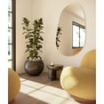 thumbnail image 2 of Glass Warehouse Starla 36 in. x 59 in. Pebble Mirror White, 2 of 5