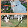thumbnail image 4 of PVC Dog Leash for Training Walking Lead for Large Medium Small Dogs, 4 of 18