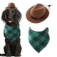 thumbnail image 3 of Sombrero con pañuelo, disfraz de vaquero para mascota, pañuelo para perro y gato, ropa para cachorro marrón, 3 of 7