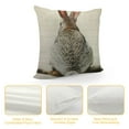 thumbnail image 4 of Grey Rabbit Pillowcase Cute Wild Animal Rabbit Bunny Easter Zippered Pillow Cover Decorative Throw Pillow Cover  Throw Pillow Cushion Cover for Home Couch Bed, 4 of 5