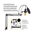 thumbnail image 3 of Kit Profesional Microfono Condensador Ele-Gate FWTCONBM800, 3 of 11