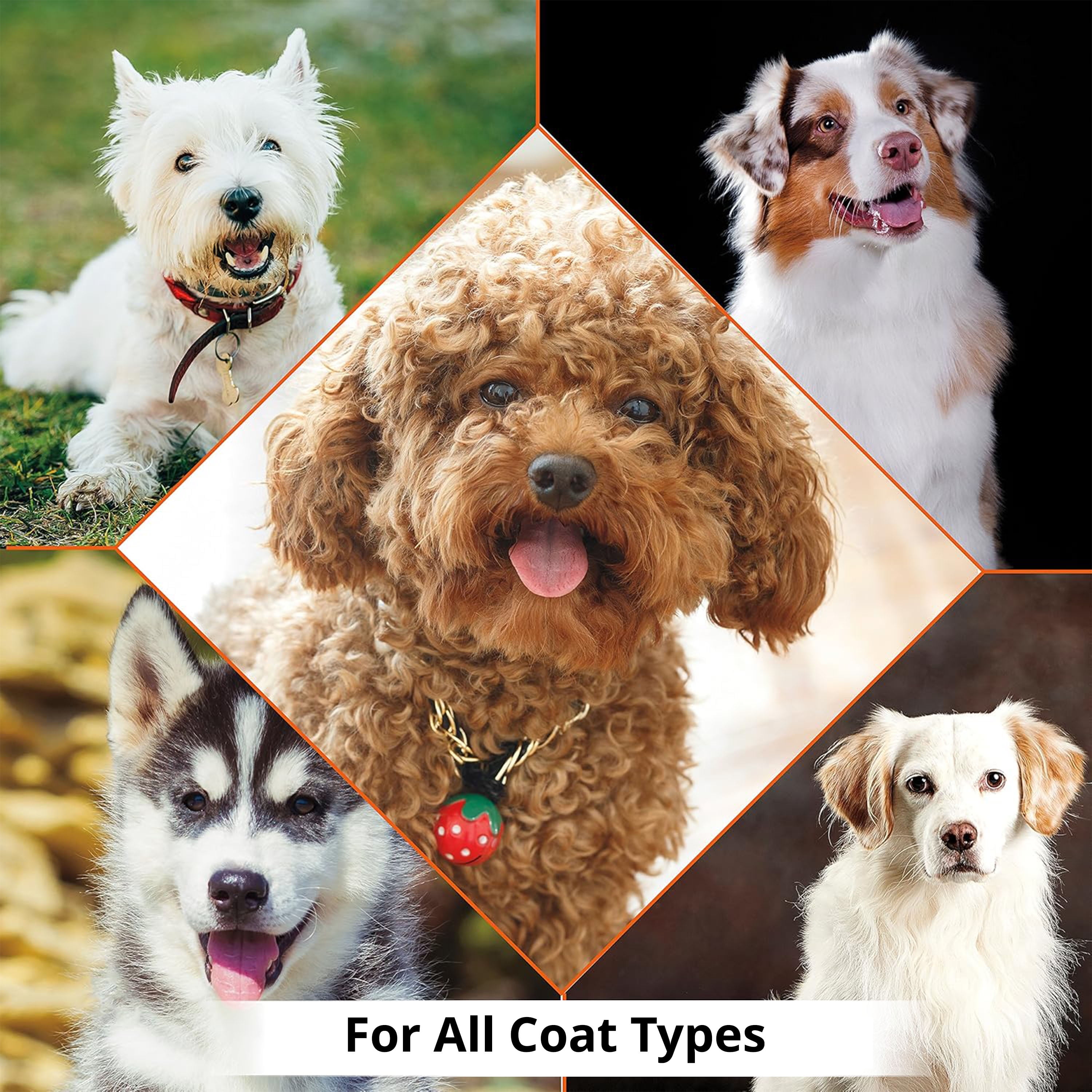 Shampooing désodorisant pour chiens Wahl - 700ml Rafraîchit et désodorise