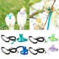 thumbnail image 2 of Pet Bird Training Toy Portable Flying Rope for Pigeons Outside Walk Adjustable, 2 of 16