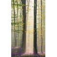 thumbnail image 2 of VLAICU, Denisa 12x18 White Modern Wood Framed Museum Art Print Titled - Misty sunrise in Hallerbos, 2 of 4