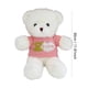 thumbnail image 2 of Decoraciones para San Valentín, adornos para San Valentín, regalos para San Valentín, almohada de la serie Bear, una chopper., 2 of 6