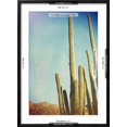 thumbnail image 5 of Art.com Desert Cactus With An Artistic Texture Overlay Art Print by pdb1, Black Frame Wall Art, 21" x 29", 5 of 5