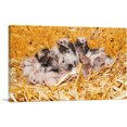 thumbnail image 1 of ARTCANVAS Mice Home decor Canvas Art Print - Size: 18" x 12" (0.75" Deep), 1 of 9