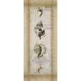 thumbnail image 3 of Goldberger, Jennifer 10x18 Black Modern Framed Museum Art Print Titled - Cartouche and Shells II, 3 of 5