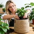 thumbnail image 5 of Woven Handmade Plant Basket 9x9x2 Inch Natural Rattan Basket Planter with Handles Indoor Outdoor Plant Baskets for Houseplants Decor, 5 of 5