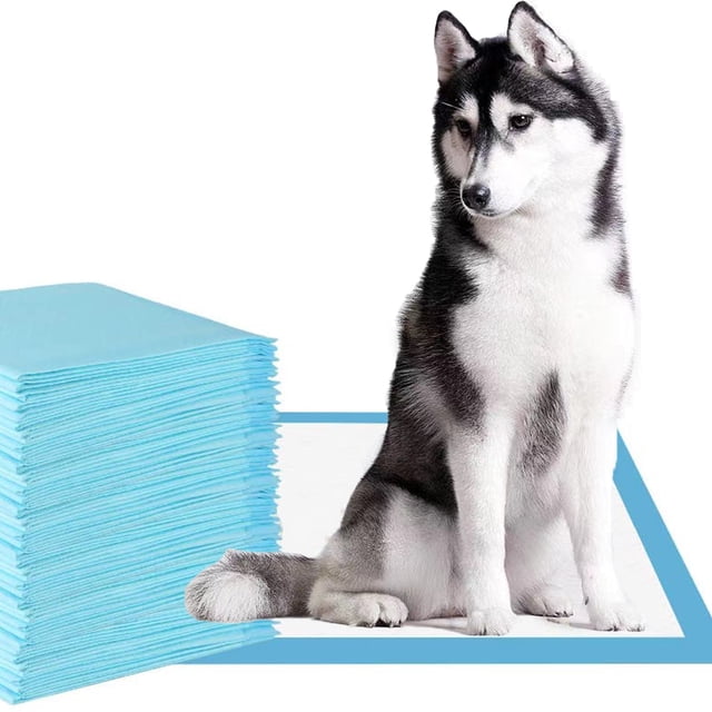 30 Counts 6 Layers Puppy Pads Leak Proof Pee Pads for dogs with Quick-Dry Surface