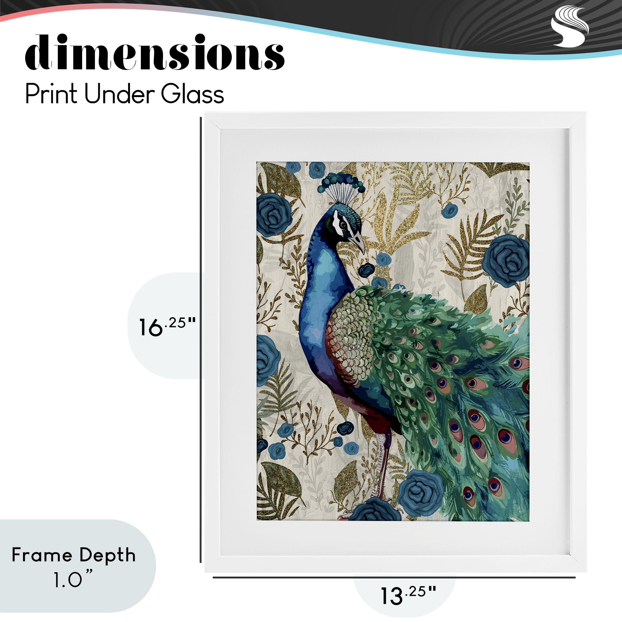 Stupell Industries Rococo Peacock Pride White Framed Print Under Glass, design by Kim Allen