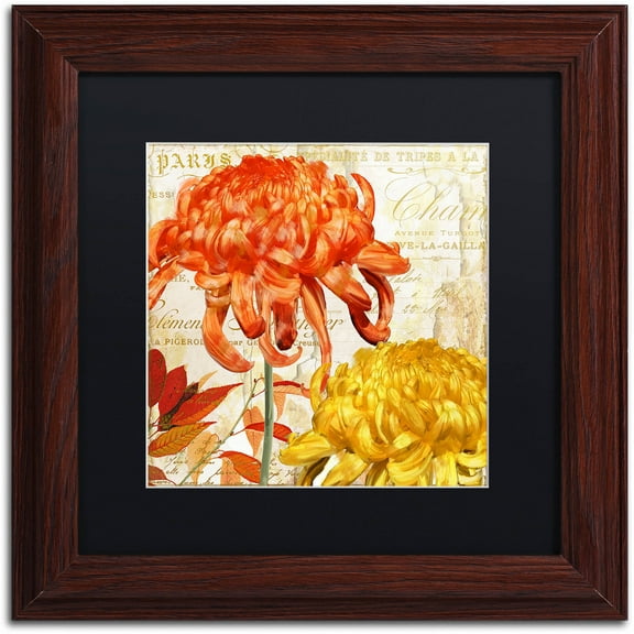 Trademark Fine Art "Chrysanthemums I" Canvas Art by Color Bakery Black Matte, Wood Frame