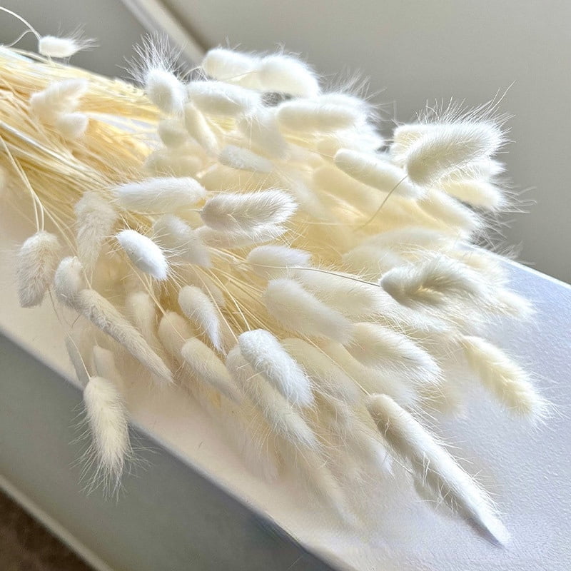 Homgreen 60 pieces of Housewear Rabbit Tail Dried Flowers, Real Flowers ...