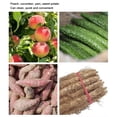 thumbnail image 1 of Random Veggie Vegetable Scrubber Scrub Cleaning Brush Kitchen Cleaner Carrot Potato Surface Brush Kitchen Tool, 1 of 10