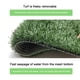 thumbnail image 5 of Almohadilla de césped artificial para perros | Almohadilla reutilizable para entrenamiento de cachorros | Tapete de césped artificial portátil para interiores y exteriores | Drenaje fácil de limpiar, 5 of 9
