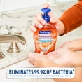 thumbnail image 3 of Soft Soap 99.9% Antibacterial Hand Soap Moisturize Skin, 11.25oz, 2-Pack, 3 of 8