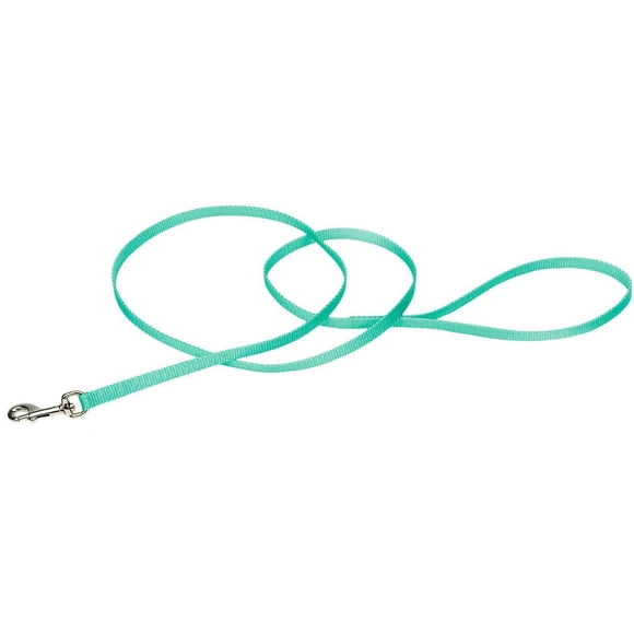 Correa para Perro Coastal de Nylon de Una Sola Capa Turquesa 1 cm x 1.8 m