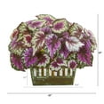 thumbnail image 2 of Nearly Natural 19in. Wax Begonia Artificial Plant in Decorative Planter, 2 of 2