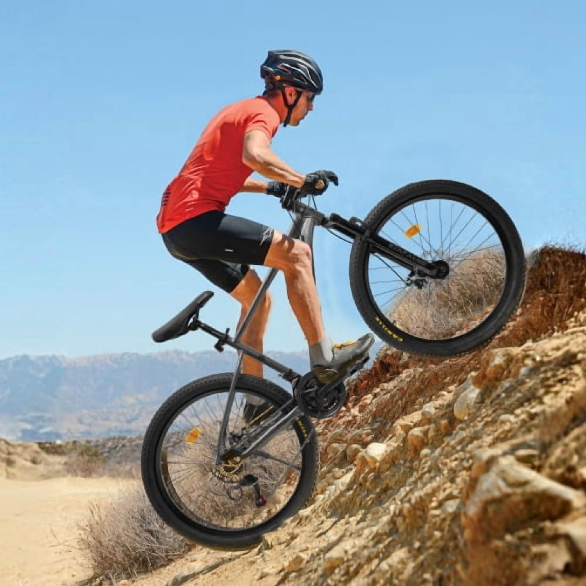 RAISTYW 24 inch Wheels Mountain Bike for Adult and Women, 21-Speed Steel Frame Bicycles with Shock Fork, Plus Shock Absorber, Black and Blue