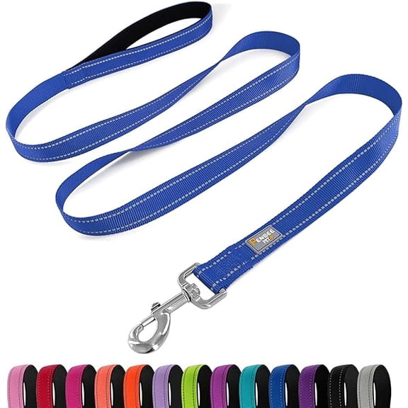 Eryueer Dog Leash 6 FT Padded Handle Nylon Reflective Dogs Leashes for Medium Dogs Blue