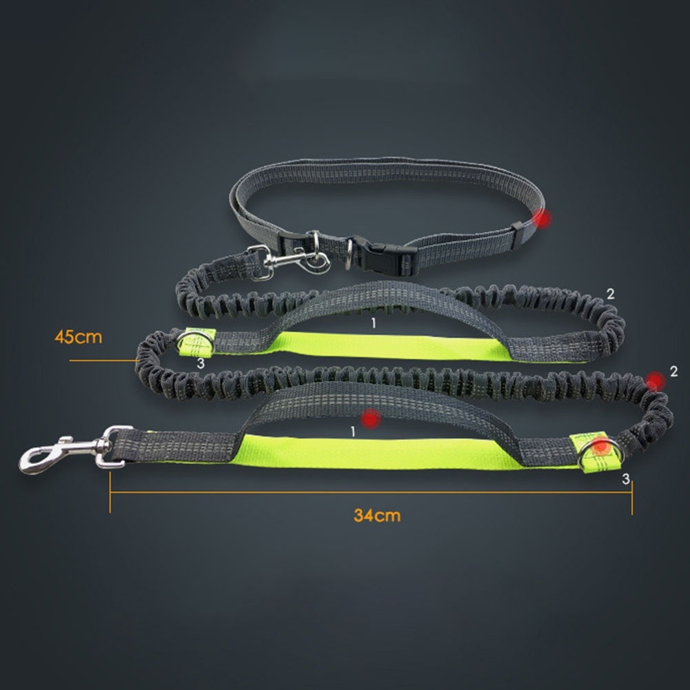 Dog Leash Reflective Drawstring Telescoping Double Elastic Strong and