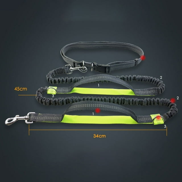 Dog Leash Reflective Drawstring Telescoping Double Elastic Strong and Sturdy Multifunction Run Pet Supplies Dog Leash