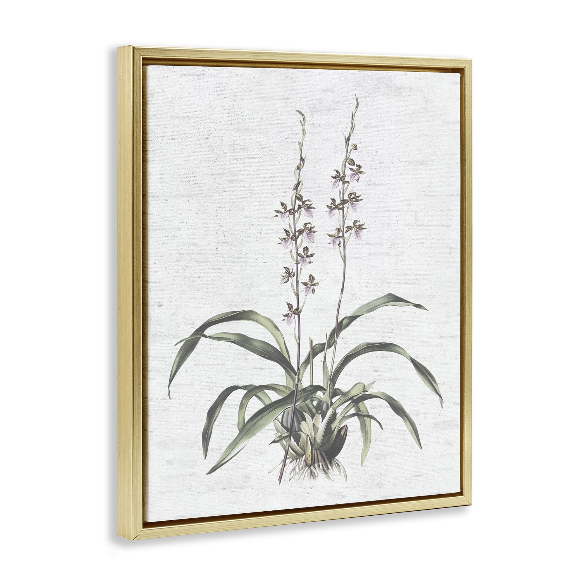 Stupell Industries Blooming Herb Bud Botanical & Floral Painting Gold Floater Framed Art Print Wall Art, 17 x 21