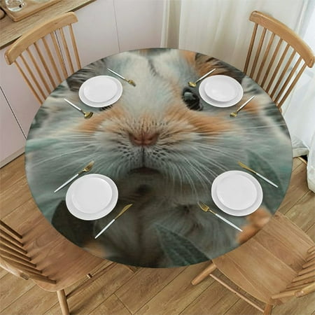 

BCIIG Hamster Round Table Cover Stain Resistant and Washable Indoor Outdoor Tablecloth kitchen Dining Wedding Parties Fitted Polyester Fabric 54 -58
