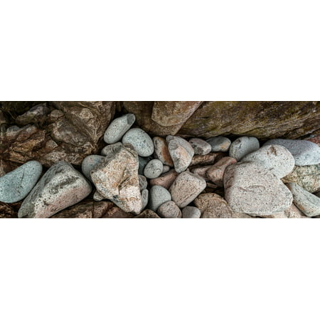 High angle view of rocks at coast Acadia National Park Maine USA Poster Print by Panoramic