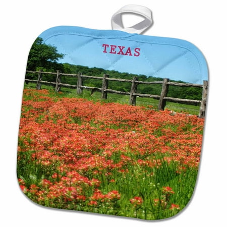 3dRose Image of Texas Paintbrush Flowers In Country Field - Pot Holder, 8 by