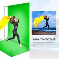thumbnail image 6 of LS Photography 5 x 10 Ft. Green Fabricated None Gloss Backdrop Background Screen for Photo Video Studio, WMT1046, 6 of 6
