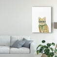 thumbnail image 3 of Trademark Fine Art 'Cool Cat IV' Canvas Art by Grace Popp, 3 of 4