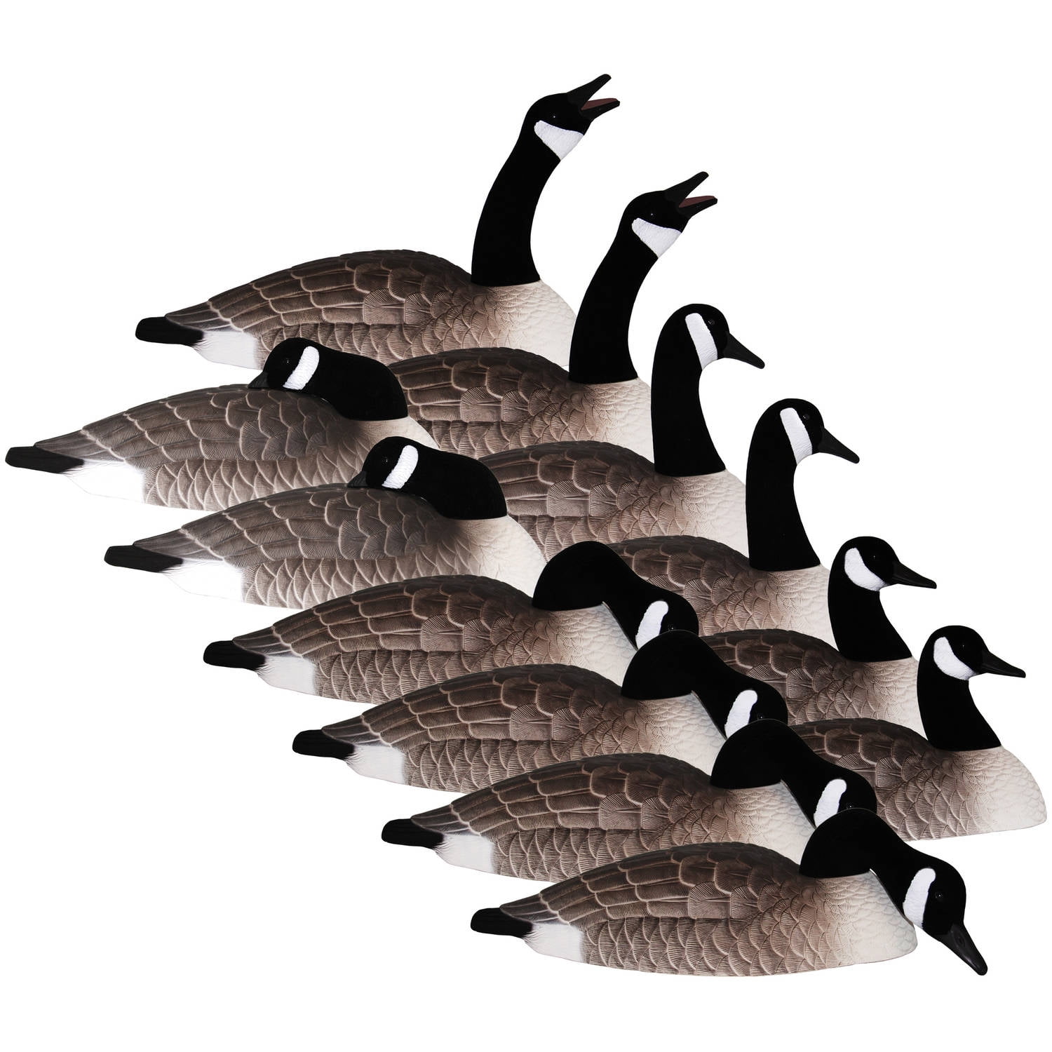 Hard Core Brands Canada Goose Shell Decoys, Multiple Sizes and Types