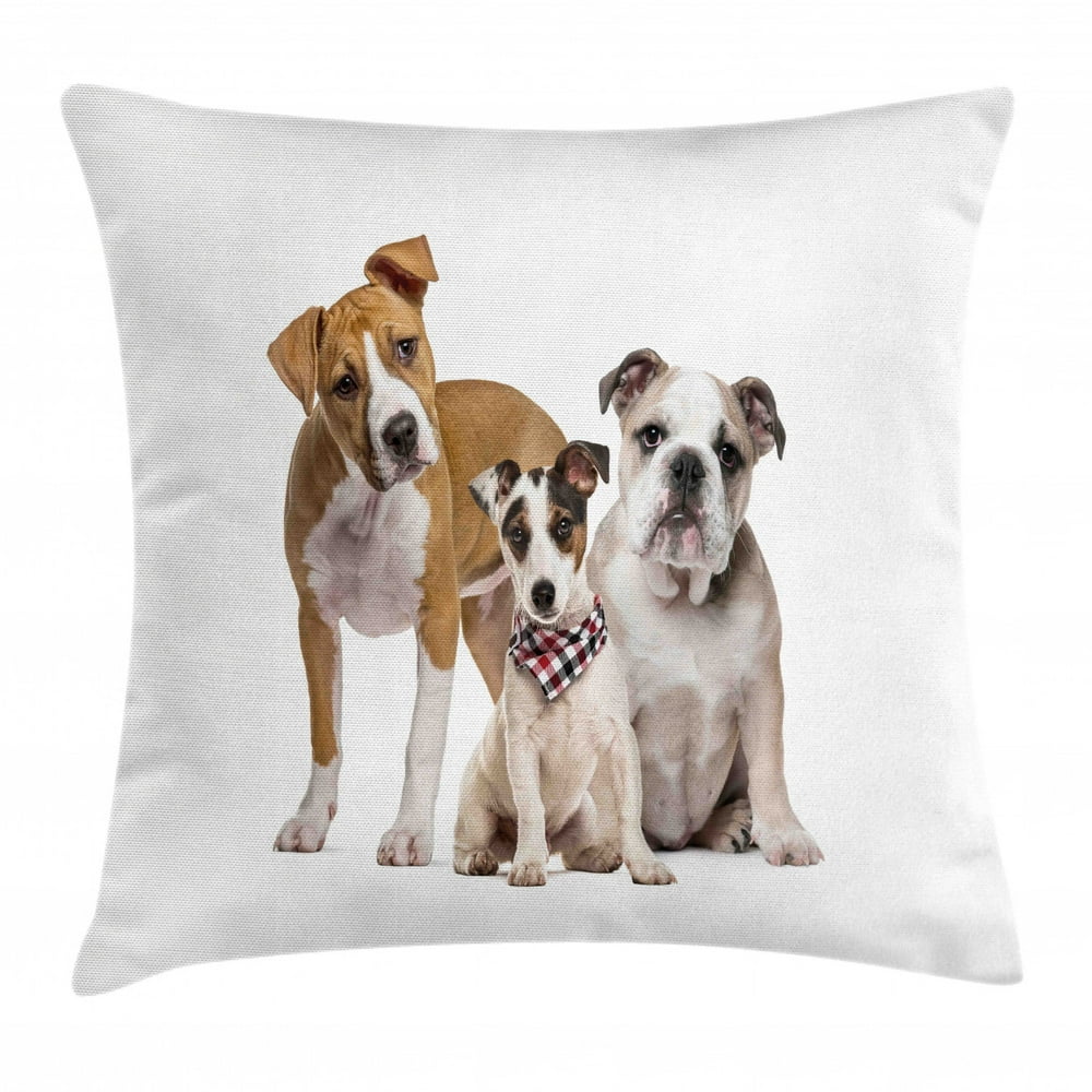 Puppy Throw Pillow Cushion Cover, Funny Studio Shot Photo of Lovely