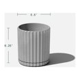 thumbnail image 3 of 6'' PLNTR GREY(X2) - FRENCH, 3 of 8