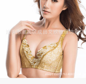 brassiere bra