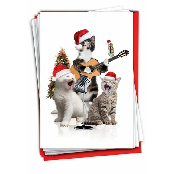 Pack of 12 Merry Christmas Greeting Cards (1 Design, 12 Cards) - Holiday Animal Bands Cats C9541GXSG-B12x1