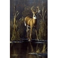 thumbnail image 2 of Goebel, Wilhelm 13x18 White Modern Wood Framed Museum Art Print Titled - Whitetail Buck, 2 of 4