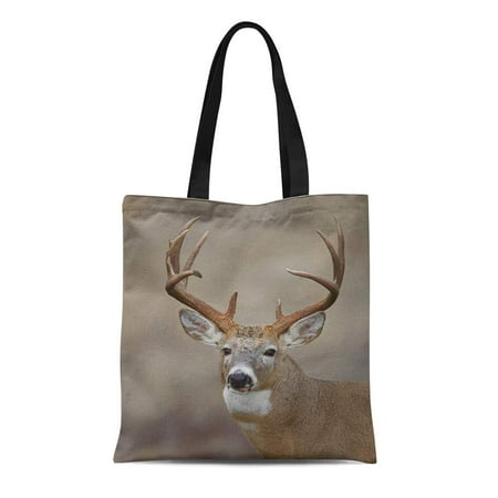 ASHLEIGH Canvas Tote Bag Trophy Whitetail Buck Deer Midwestern Hunting Illinois Ohio Wisconsin Reusable Shoulder Grocery Shopping Bags