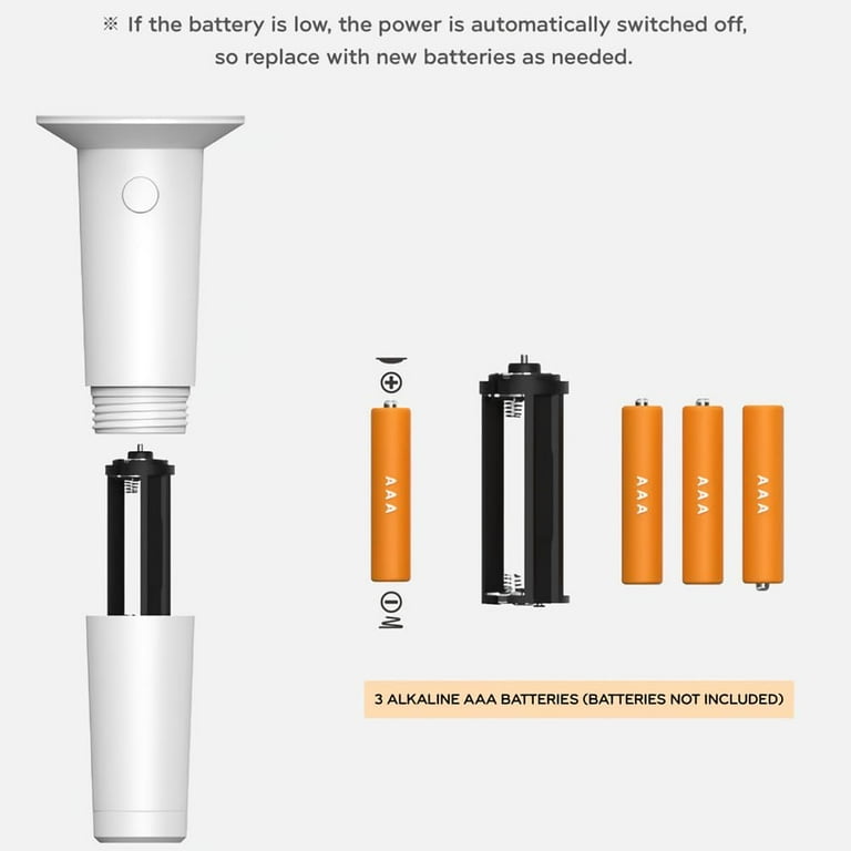 RIIZE アントン ANTON Walmart ウォルマート 限定 アメリカ RIIZE Official Lightstick - Walmart.com
