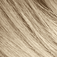 Extra Light Ash Blonde