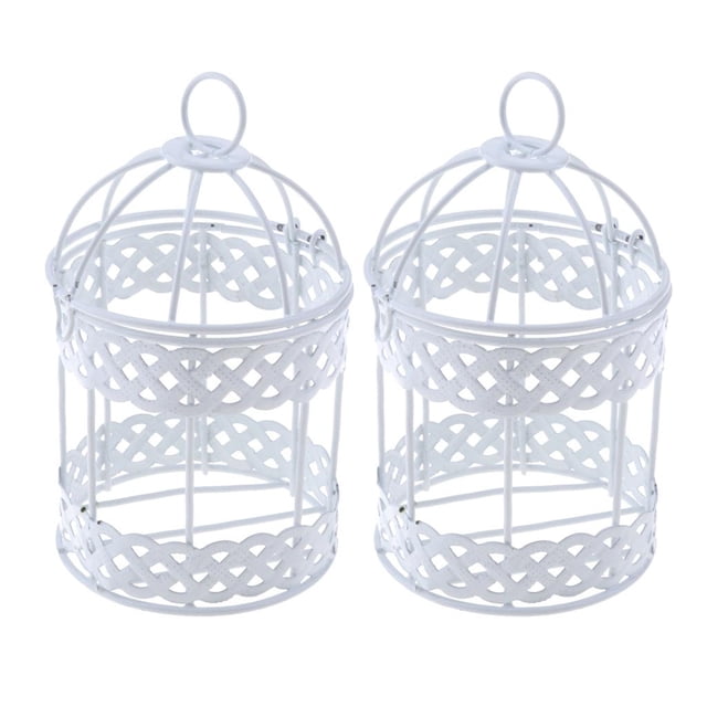 2 piezas de alambre de metal Maceta colgante jaula de pájaros Maceta Sharpla Maceta suculenta