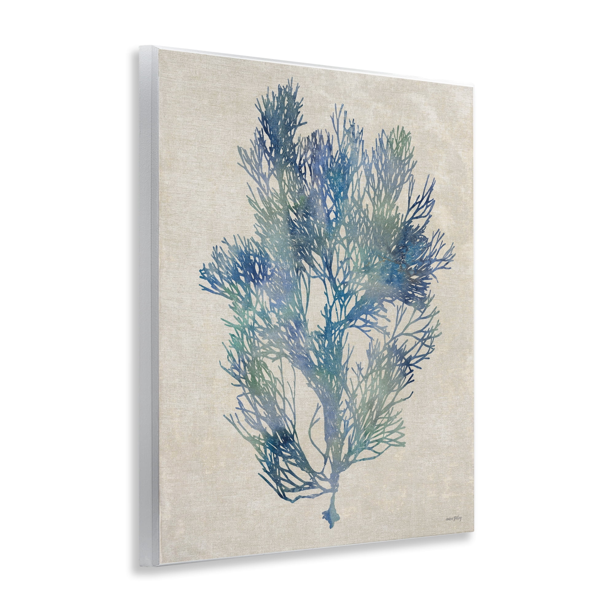 Stupell Industries Misty Blue Coral Study Wall Plaque Art, design by Amber Sterling