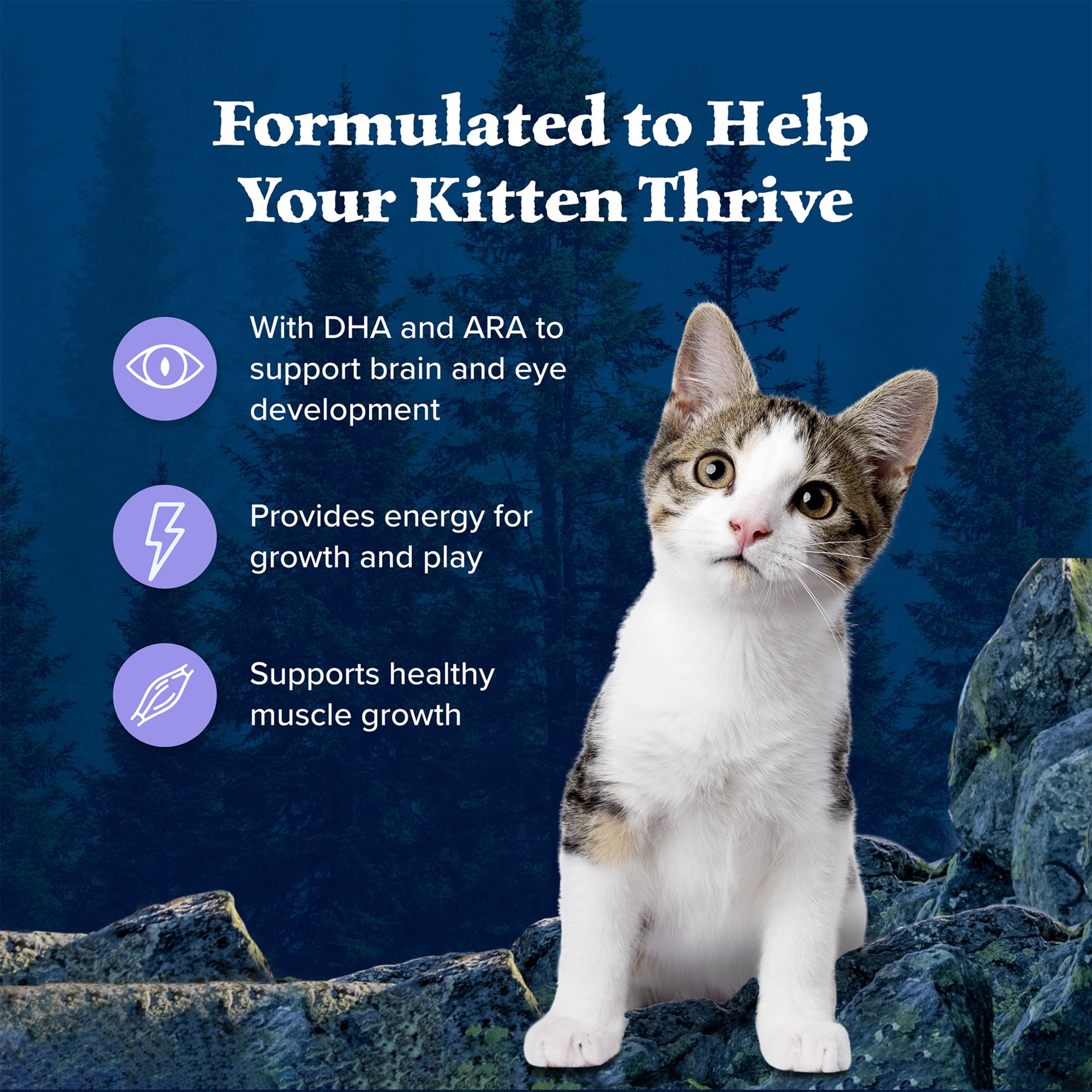 Blue Buffalo Wilderness Natural Kitten Dry Cat Food, High-Protein, Chicken, 5-lb. Bag