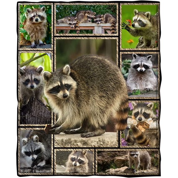 Raccoon Blanket - Soft Comfy Flannel Plush Sofa Bed Couch Throw Blanket for Kids and Adult Lightweight Warm Cozy All Season Blankets (Raccoon, 60 x 50in)