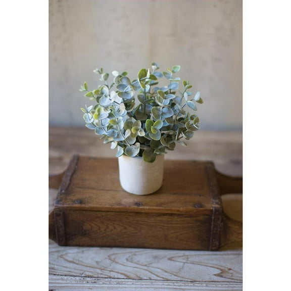 Kalalou Inc Boxwood Sage Plant In Concrete Pot