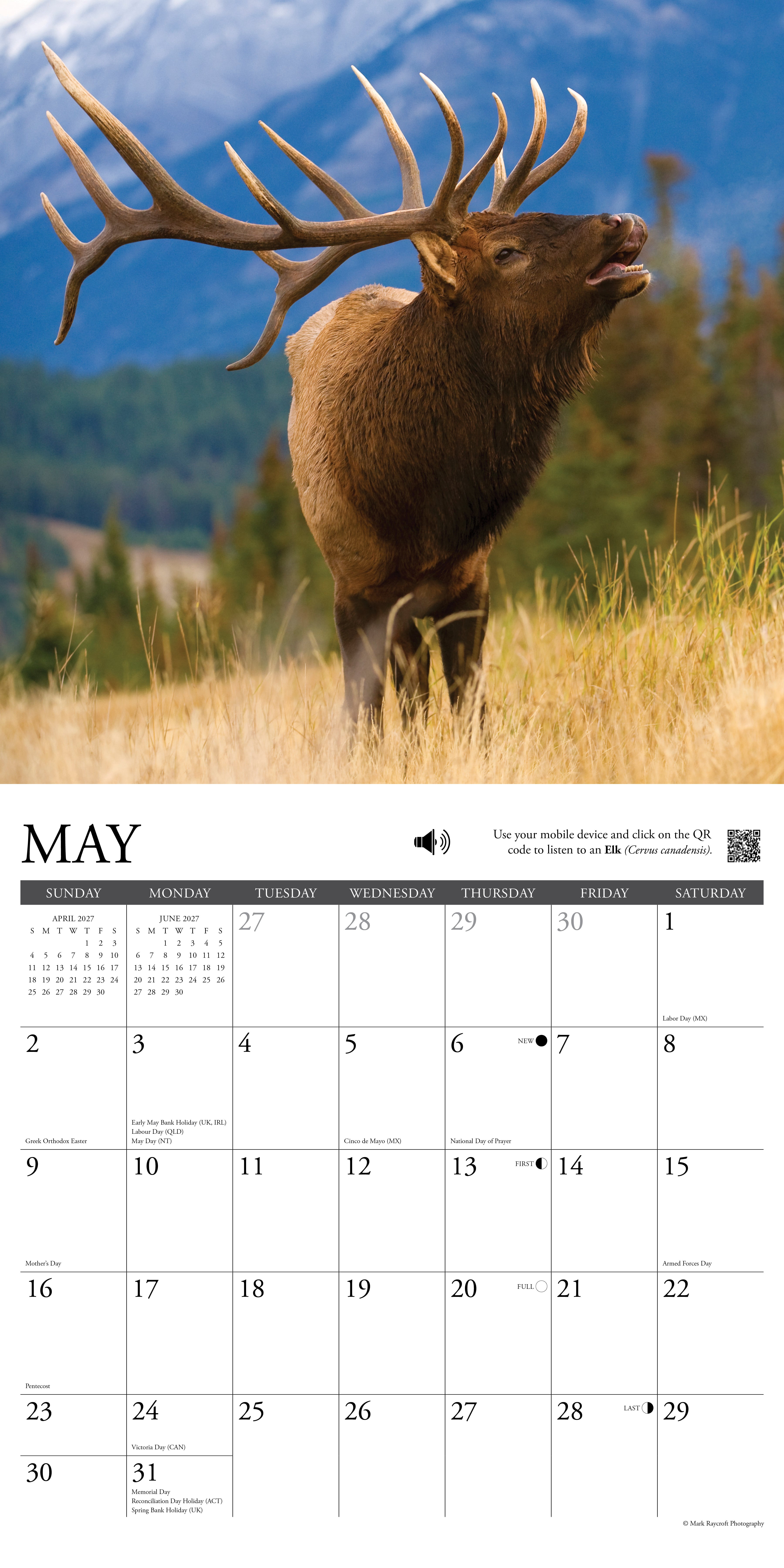 Willow Creek Press, Call of the Wild 2027 Wall Calendar