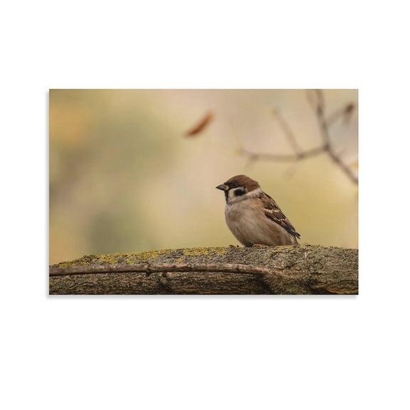 Cute Bird Animal-l Poster Decorative Painting Canvas Wall Art Living Room Posters Bedroom Painting 16x24inch(40x60cm)